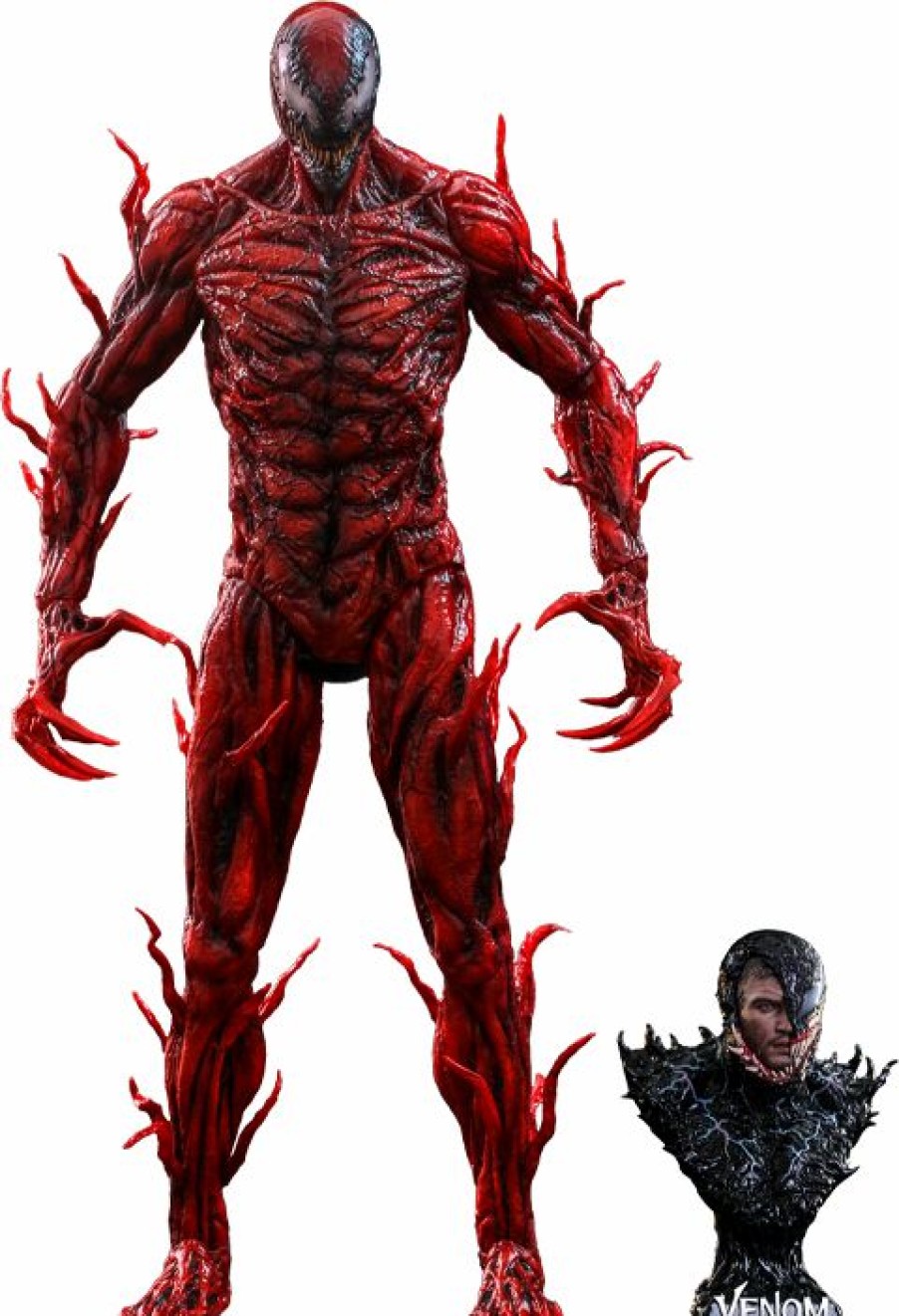 Movies / Tv / Sports * | Hot Toys Movie Masterpiece 1/6 Scale Figure Carnage (Deluxe Version)